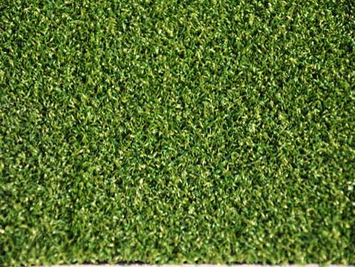 曲棍球场卷曲草坪